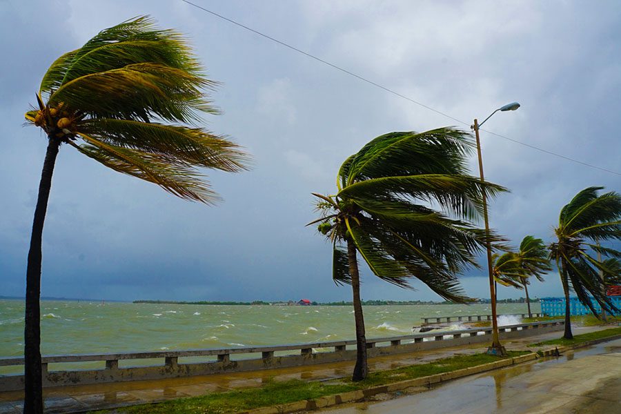 Resources - View of Hurricane Winds Affecting Coast of Florida