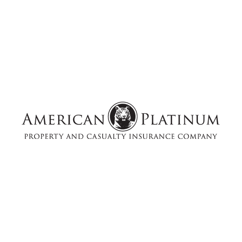 American Platinum